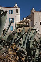 Calvi, Blick zur Zitadelle.JPG